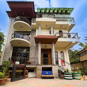 Mad Vervet Backpackers Hostal